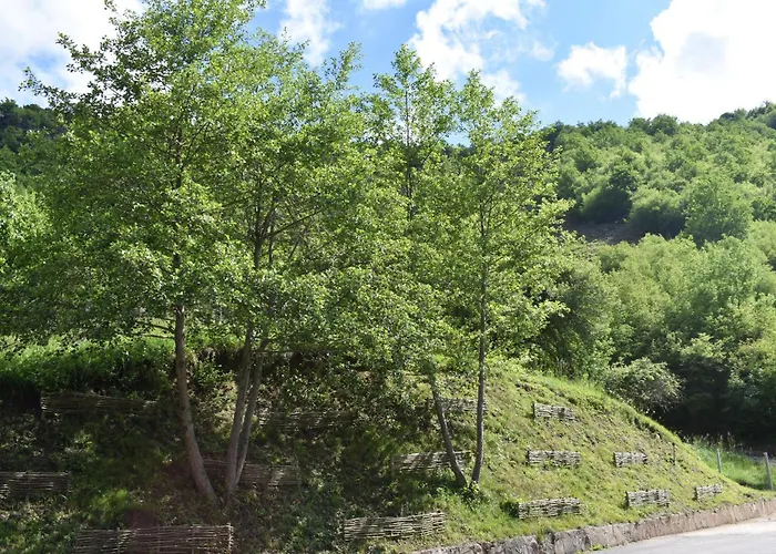 호텔 ловна резиденция длс извора 데빈